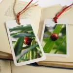 Lovely Ladybirds Gift Tag Bookmarks