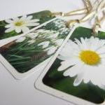 White Blooms No.1 Photo Gift Tag Bookmarks (set Of..