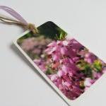 Pink Blooms No.2 Flower Gift Tag Bookmarks (set Of..