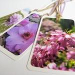 Pink Blooms No.2 Flower Gift Tag Bookmarks (set Of..