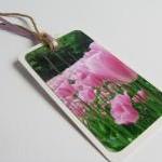 Pink Blooms No.1 Gift Tag Bookmarks (set Of 3)