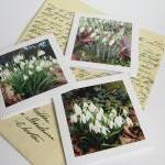 Snowdrops Small Photo Notecards (set Of 3)