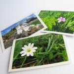 Bright Wild Flowers Photo Notecards