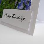 Gorgeous Bluebells Birthday Photo Card