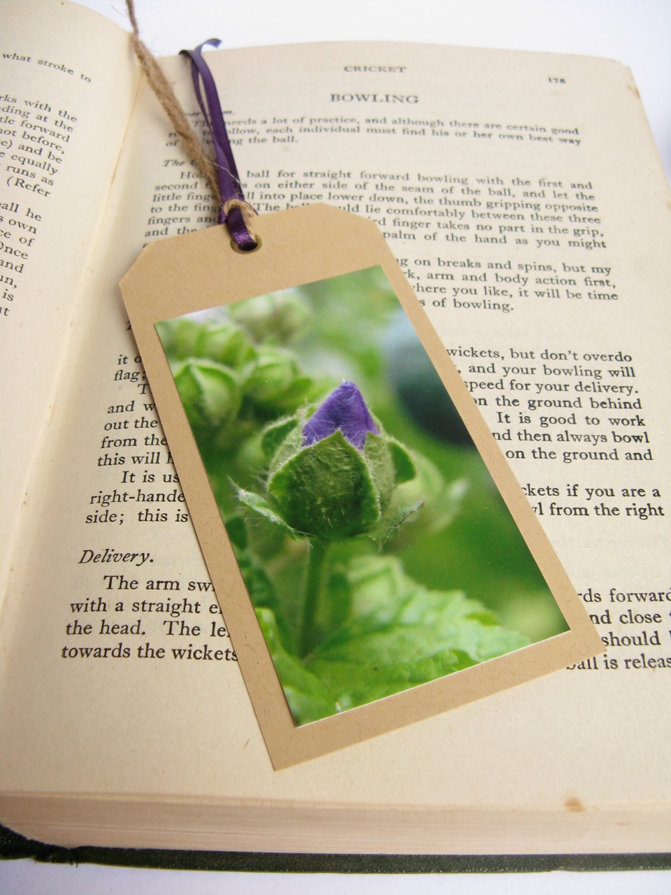 Purple Flower Bud Gift Tag Bookmark