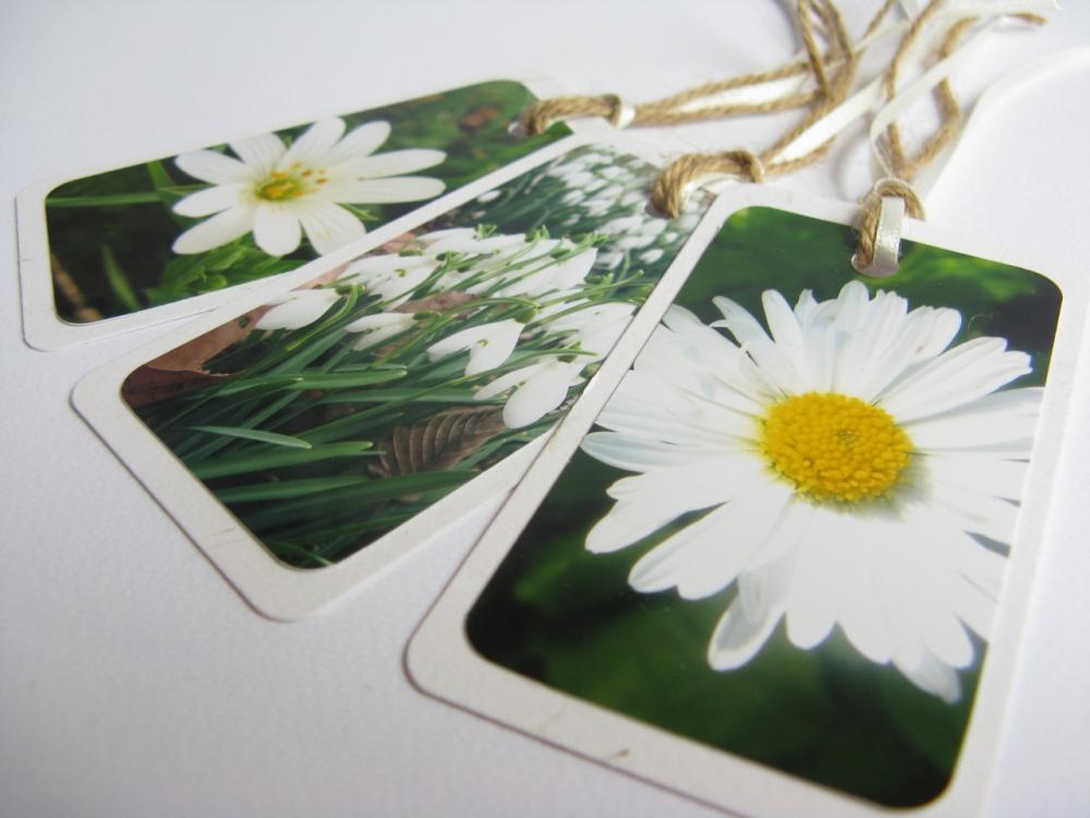 White Blooms No.1 Photo Gift Tag Bookmarks (set Of 3)