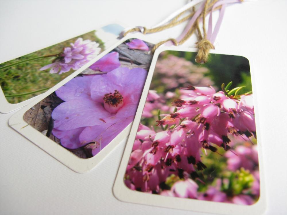 Pink Blooms No.2 Flower Gift Tag Bookmarks (set Of 3)