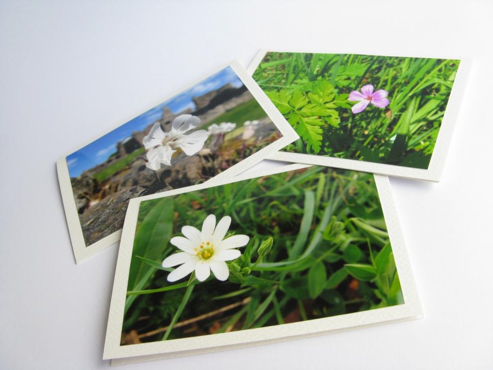 Bright Wild Flowers Photo Notecards