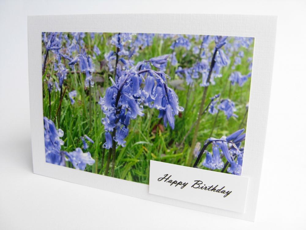 Gorgeous Bluebells Birthday Photo Card